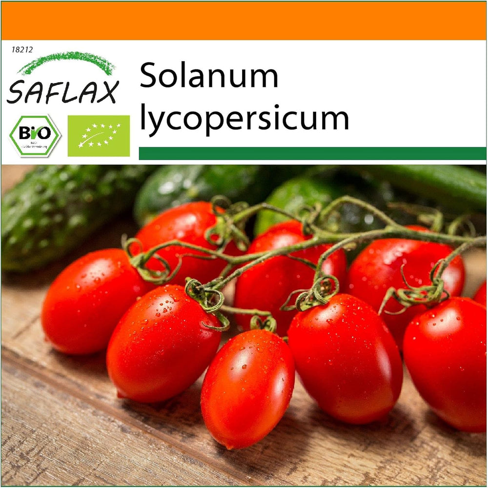 SAFLAX - Garden in the Bag - BIO - Tomate - Roma - 15 Samen - Mit Anzuchtsubstrat Im Praktischen, Selbst Aufstellenden Beutel - Solanum Lycopersicum