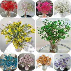Chamelaucium Uncinatum - Balkonpflanzen Frühlingsblumen Winterharte Gartenblumen Gartendeko Für Draußen Hecken Sträucher Winterhart Blühend Topfpflanzen Nachhaltige Geschenke Garten 130Samen