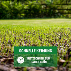 Gardengloss Rasensamen Schnellkeimend Herbst 0,5Kg - Made in Germany - 25M2 Fläche Rasen - Grassamen Turbo Nachsaat Und Neuanlage - Rasennachsaat