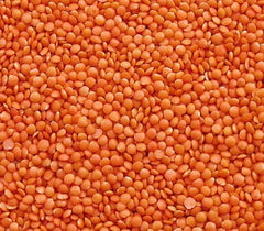 Linte roșie Seba Garden 1 kg – Linte integrală premium din Canada – Massor Dal, fără OMG, bogată în proteine, bogată în fibre – complet naturală, vegană, fără gluten, ideală pentru supe și curry