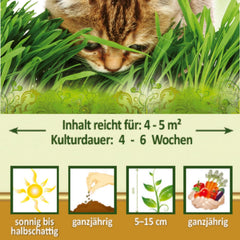 Premium Katzengras Samen Chrestensen, Grassamen Schnellkeimend, 1 Dose 110 G, Reicht Für Ca. 4-5 M² Katzengras Fertig Gewachsen, Natürliche Katzen Leckerlies Zu Hause