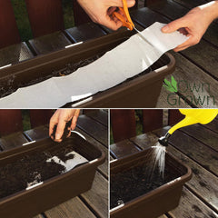 Amestec colorat de flori de balcon - 2 covorașe premium pentru semințe de flori de balcon, ușor de cultivat, flori de vară și semințe de flori sălbatice de la OwnGrown, semințe anuale prietenoase cu insectele
