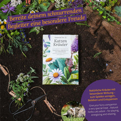 Semințe Magic Garden - Ierburi pentru pisici: Catnip, Valeriană, Salvie și Iarbă de pisică - Cutie cu semințe cu 4 plante pentru joacă, ciugulit și relaxare