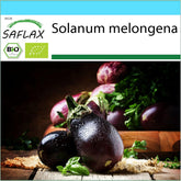 SAFLAX - Geschenk Set - BIO - Aubergine - Black Beauty - 25 Samen - Mit Geschenk- / Versandbox, Versandaufkleber, Geschenkkarte Und Anzuchtsubstrat - Solanum Melongena