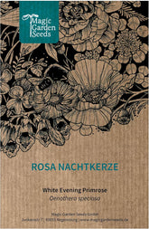 Rosa Nachtkerze (Oenothera Speciosa) Ca. 300 Samen Der Mehrjährigen Staude Steingartenpflanze Präriepflanze Blume Bienenweide