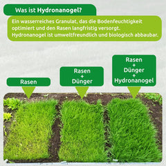 Biologisch Abbaubare Rasenmatte Mit Integriertem Dünger Und Hydronanogel, Rasenrolle, Grasrolle, Rasenvlies, Rasen Saatgut, Dünger, Rollrasen, 10M²