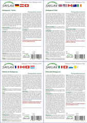 SAFLAX - Geschenk Set - Kakteen - Madagascar - Palme - 10 Samen - Mit Geschenk- / Versandbox, Versandaufkleber, Geschenkkarte Und Anzuchtsubstrat - Pachypodium Lamerei