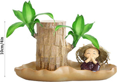 Brasilianisches Glücksholz | Glücksbambus Pflanze Ornamenten | Reinigen Sie Luft Luckyes Bamboo Mit Blatttopf | Hydrokulturpflanze Brazilian Glücksholzpflanze Für Desktop-Dekoration