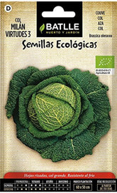 Bio Samen - Wirsingkohl Virtudes 3 (225 Samen - Bio)