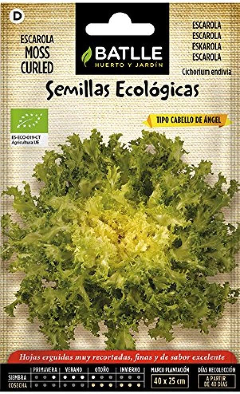 Bio Samen - Endivie Gekräuselt - Moss Curled (300 Samen - Bio)