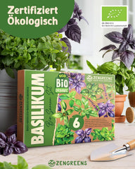 Semințe de busuioc organice într-un set de 6 - 6 semințe de busuioc pentru cultivare ușoară în grădină, balcon sau strat înălțat - semințe de plante - răsaduri