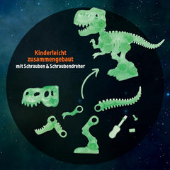 Moses. Dino Bausatz Glow in-The Dark - leuchtender Dino-Bausatz mit Werkzeugen, 21 Teile inkl. Anleitung, T-Rex zum Zusammenbauen, DIY-Spielzeug für Kinder ab 6 Jahren