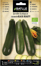 Zucchini-Schwarze Schönheit - ECO