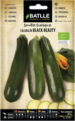 Zucchini-Schwarze Schönheit - ECO