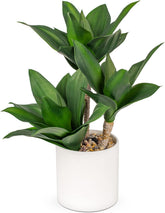 Groß Sukkulenten Künstliche Pflanzen Deko Im Topf 37Cm, 3 Stück Agave Pflanze Faux Sukkulente Kunstpflanze Im Topf Keramik, Sukkulente Topfpflanzen Deko Aloe Yucca Vera Für Haus Büro Küche Desktop#2