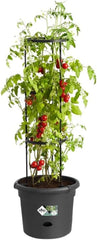 elho Green Basics Ghiveci de roșii 33 - Ghiveci de flori pentru cultivare și recoltare în aer liber - Ø 33,5 x H 26,0 cm - Negru/Negru viu