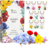 Semințe de flori pentru grădină și balcon: 10 varietăți de semințe de flori premium ca set de semințe de plante – semințe de flori de balcon – semințe de flori sălbatice pentru balcon și grădină de la OwnGrown