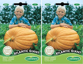 Kürbis ATLANTIC GIANT, Mehrfarbig, EC4001 (Packung Mit 2)