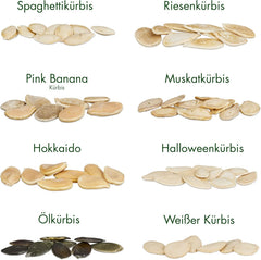 Kürbis Samen Set: 8 Sorten Premium Kürbis Saatgut Für Die Anzucht Von Kürbis Pflanzen Im Garten, Hochbeet Und Gewächshaus – Muskatkürbis Samen, Halloween Kürbis Samen, Beste Gemüse Samen Von Owngrown