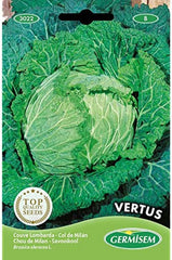 Wirsingkohl VERTUS, Mehrfarbig, EC3022
