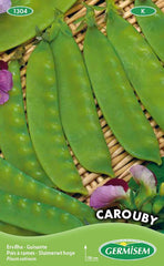 Zuckererbse CAROUBY
