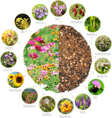 100 g de semințe de flori sălbatice pentru o pășune colorată pentru albine - Amestec vibrant și bogat în nectar de semințe de flori sălbatice pentru albine și fluturi (include eBook GRATUIT)