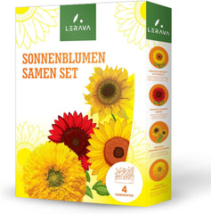 LERAVA® Sonnenblumen Samen Set (4 Sorten) - Riesige gelbe & rote Sonnenblume - Zwerg und Sungold Teddy - Premium Sonnenblumensamen für Garten und Balkon - Blumensamen Geschenk für Hobbygärtner