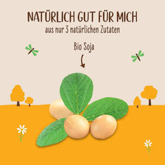 Allos Bio Sojadrink ohne Zucker | Milchalternative aus Soja | Soja Drink | Drink auf Pflanzenbasis | veganer Drink | ohne zugesetzten Zucker | vegan | laktosefrei | 1 Liter (6 Stück)