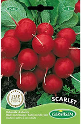 Radieschen SCARLET, Mehrfarbig, EC9035