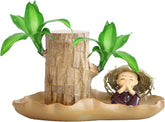 Brasilianisches Glücksholz | Glücksbambus Pflanze Ornamenten | Reinigen Sie Luft Luckyes Bamboo Mit Blatttopf | Hydrokulturpflanze Brazilian Glücksholzpflanze Für Desktop-Dekoration