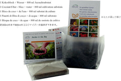 SAFLAX - Garden in the Bag - Afrikanischer Affenbrotbaum - 6 Samen - Mit Anzuchtsubstrat Im Praktischen, Selbst Aufstellenden Beutel - Adansonia Digitata