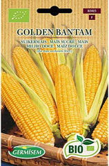 Mais GOLDEN BANTAM, ECBIO5025