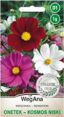 Semințe Cosmos Sensation Mix 1g, Mix Cosmos Flori de vară, Plante de grădină Plante de balcon, Semințe de flori