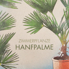 Chinesische Hanfpalme Saatgut: Palmen Samen Für 5X Palme Zimmerpflanze – Winterharte Zimmerpflanzen Groß – Grünpflanzen Zimmerpflanzen Samen Owngrown