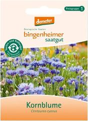 Kornblume Kornblume