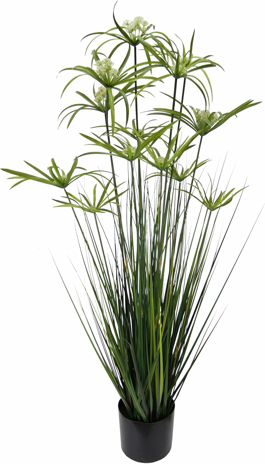 Zypern-Gras Im Topf Grasbusch Groß Gras Ziergras Dekopflanze Künstliches Zyperngras Cyperus Topfpflanze Grünpflanze Künstliche Dekopflanze Staude Ufergras Schilf Katzengras