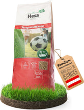 Hesa Sportrasen, 1 Kg Strapazierrasen Für Ca 40 M², Schnellkeimende Premium Rasensamen Für Starke Beanspruchung, Fussballrasen, Sportplatzrasen in Profiqualität, Auch Für Nachsaat