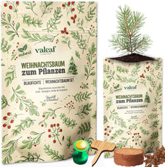 Weihnachtsbaum Anzucht Set I Tolle Geschenk-Idee, Wichtelgeschenke Weihnachten, Nikolausgeschenke Und Garten Geschenke I Weihnachtsbaum Aus Der Dose (Blaufichte 3)