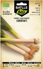 Bio Samen - Lauch - Porree Carentan 3 Dick (200 Samen - Bio)