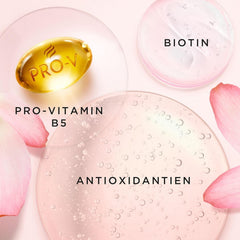 Șampon pentru îngroșarea părului Pantene Pro-V Lift & Volume cu biotină, fără silicon Duș și baie Pantene