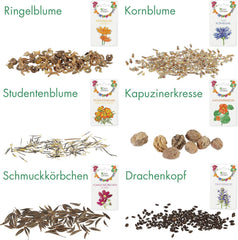 Essbare Blumen Samen Set : Delikatess Blüten Blumensamen Set mit 6 Sorten Blumen Saatgut – Essbare Blüten Samen – Essbare Blumen für Torte – Essbare Blüten Tortendeko – Blumen Essbar von OwnGrown