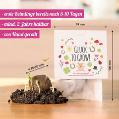 10x "Glück to grow" Samenbomben als Glücksbringer 2026 & Blumensamen Geschenk | Mitbringsel Erwachsene & kleine Gastgeschenke Silvester - Kleeblatt Glücksbringer Prüfung - inkl. Geschenkkarten Set
