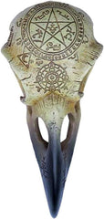Omega Raven Skull Statuete si sculpturi Naty Shop
