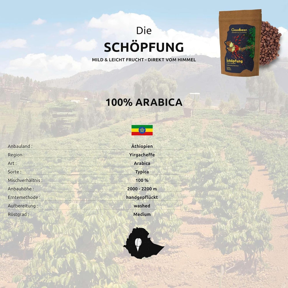 Creația | Florală, fructată, aciditate delicată | Boabe de cafea blânde și armonioase | 100% Arabica | Etiopia - Yirgacheffe | Proaspăt prăjită | Expediată direct de la prăjitorie | Prăjire medie (2500g)