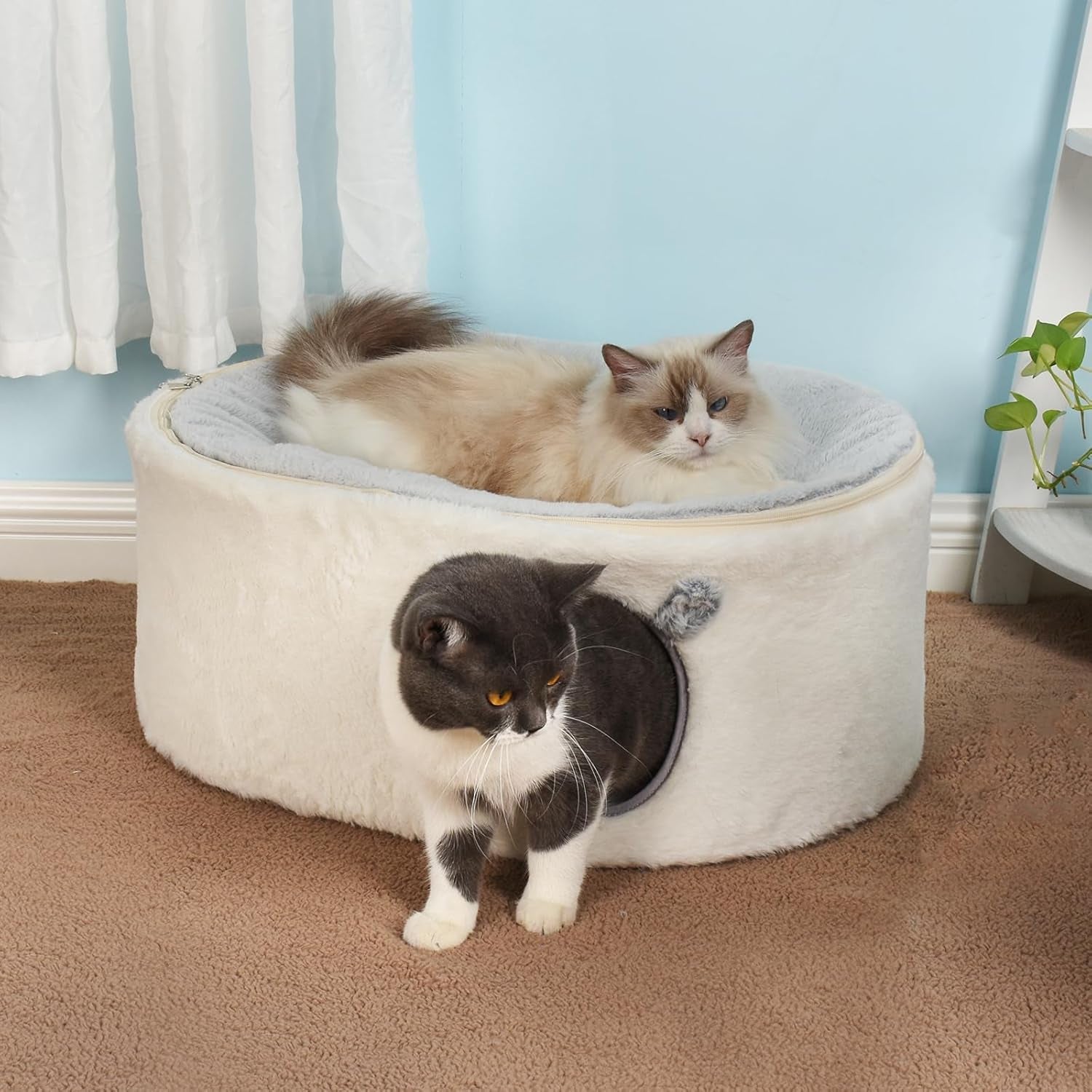 Pături & Mobilier, Animale de companie, Peșteri & Case, Pisici, Paturi pentru pisici, Pisici - culcusuri, saltele