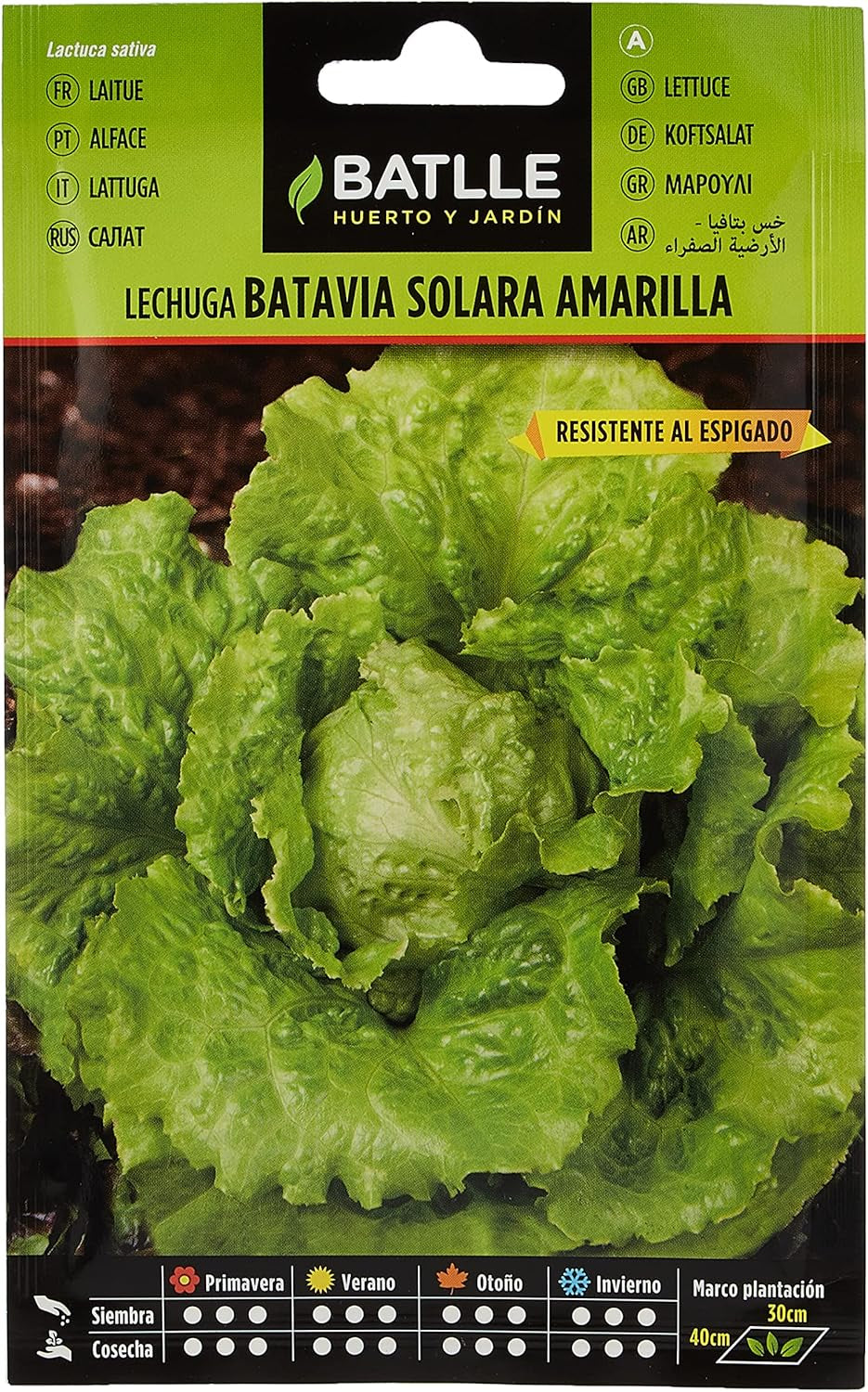 Batlle Gemüsesamen - Frühlings Kopfsalat Dorada De Primavera (6400 Samen)