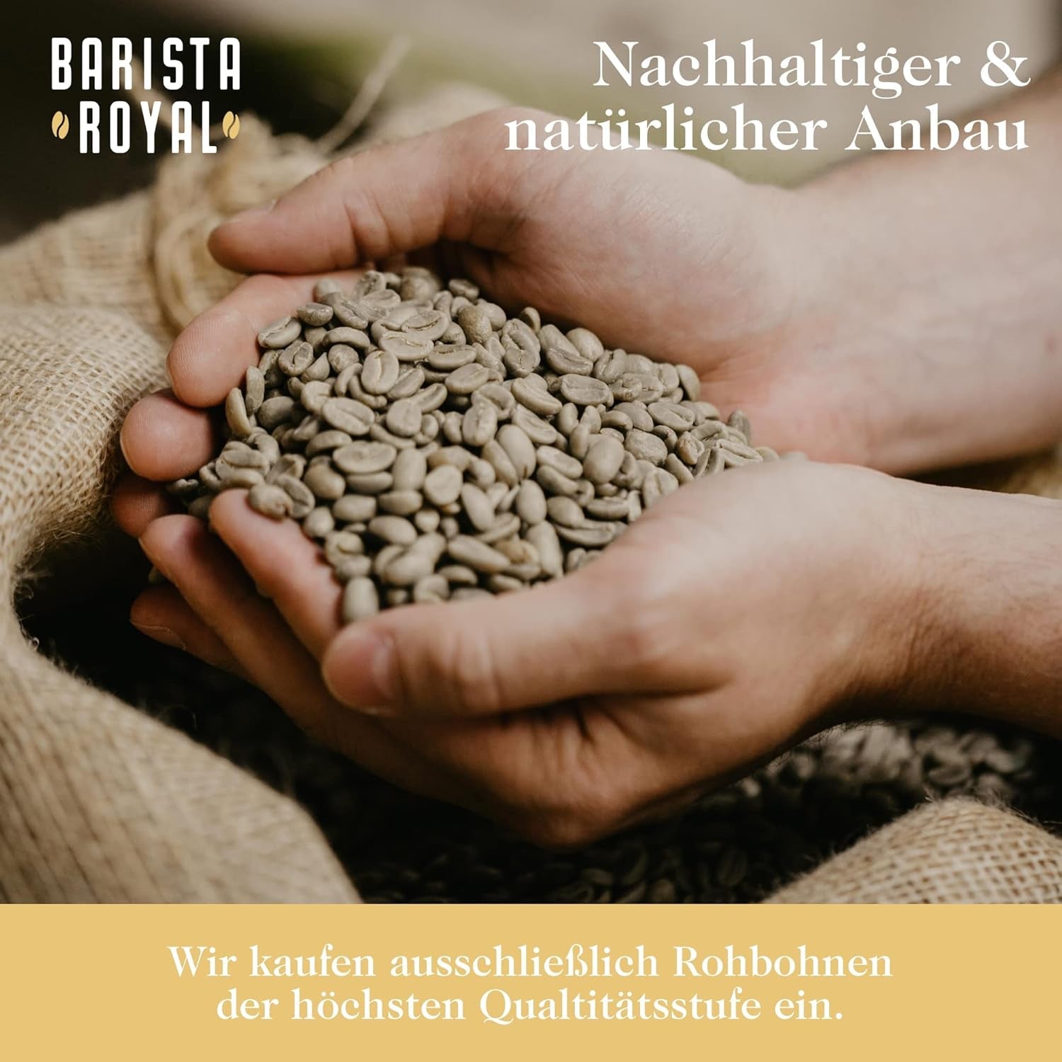 Set de mostre boabe de espresso 4 x 350g boabe de espresso | Pachet Discovery/Pachet de mostre | Robusta și Arabica | Ideal pentru aparate complet automate și portafiltru | BARISTA ROYAL
