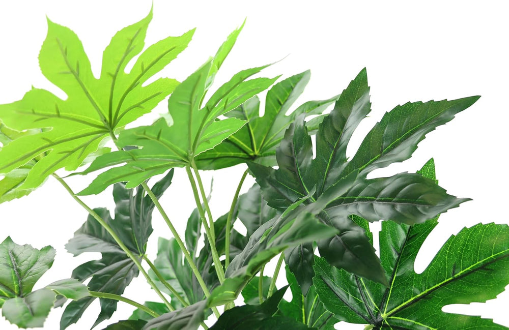 Künstliche Blattpflanze Im Topf Aralie 60 Cm Monstera Seidenblumen Real Touch Grün Kunstpflanzen Pflanzen Aralienpflanze Deko Dekopflanze Grünpflanze Seidenpflanze Zimmerpflanze Kunstblume Büropflanze