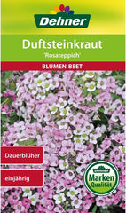 Dehner Blumen-Saatgut, Duftsteinkraut "Rosateppich", 5Er Pack (5 X 0.7 G)