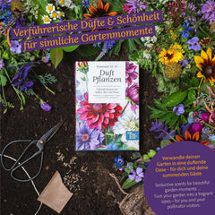Semințe Magic Garden - Cutie cu semințe de plante parfumate - Magie florală pentru balcon, strat de flori și simțuri - Semințe cu polenizare liberă, flori fermecătoare ca idee de cadou pentru pasionații de grădinărit